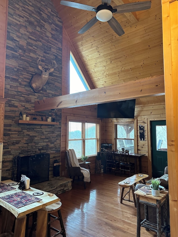 Smart TV, fireplace