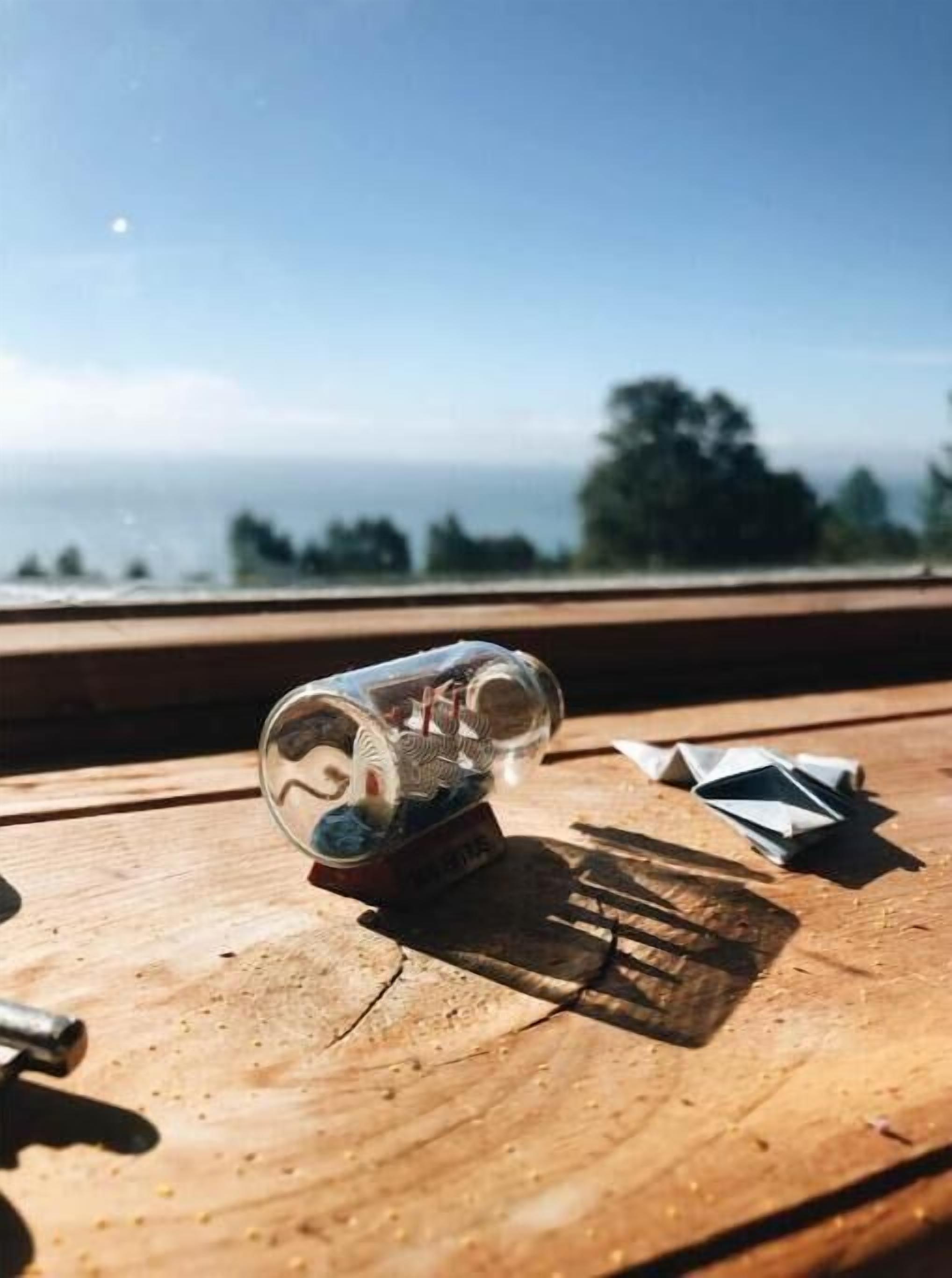Una lattina su una superficie di legno con vista sul mare e alberi sullo sfondo.