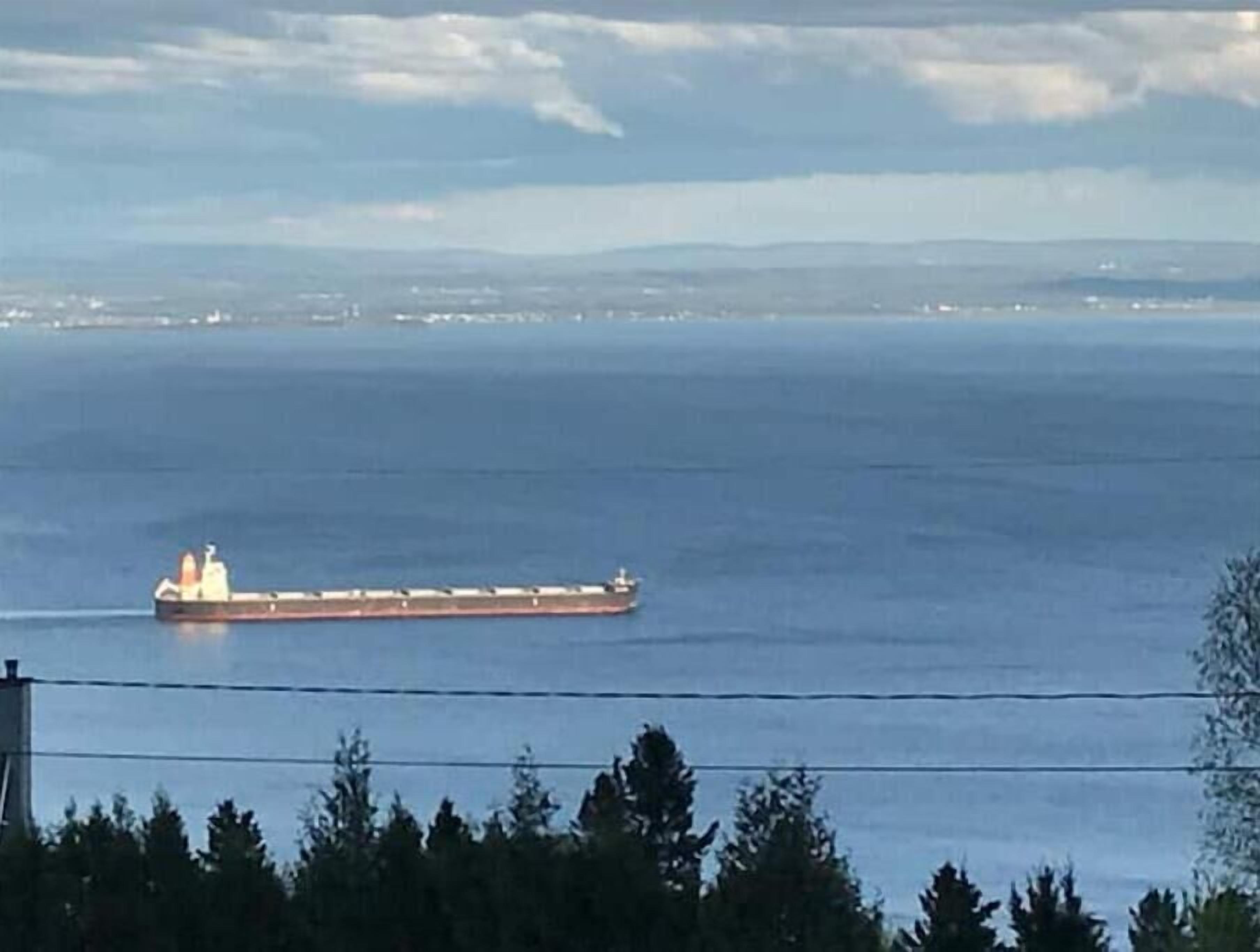 Una nave cargo su un mare calmo, con una costa in lontananza e linee elettriche in primo piano.
