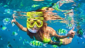 A person snorkeling underwater surrounded by fish. - Shorebreak Hotel (Aguadilla)