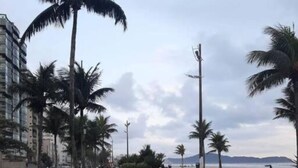 Une zone piétonne aménagée avec une piste cyclable, des palmiers et une vue sur la mer.