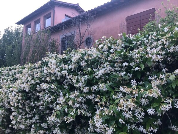 تفاصيل الفندق من الخارج