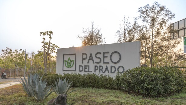 Letrero de Paseo del Prado con un logotipo, rodeado de follaje y árboles.