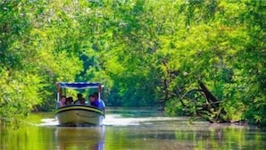 A boat with passengers on a river surrounded by dense greenery. - Hotel Casa Shula Acapulco (Coyuca de Benitez)