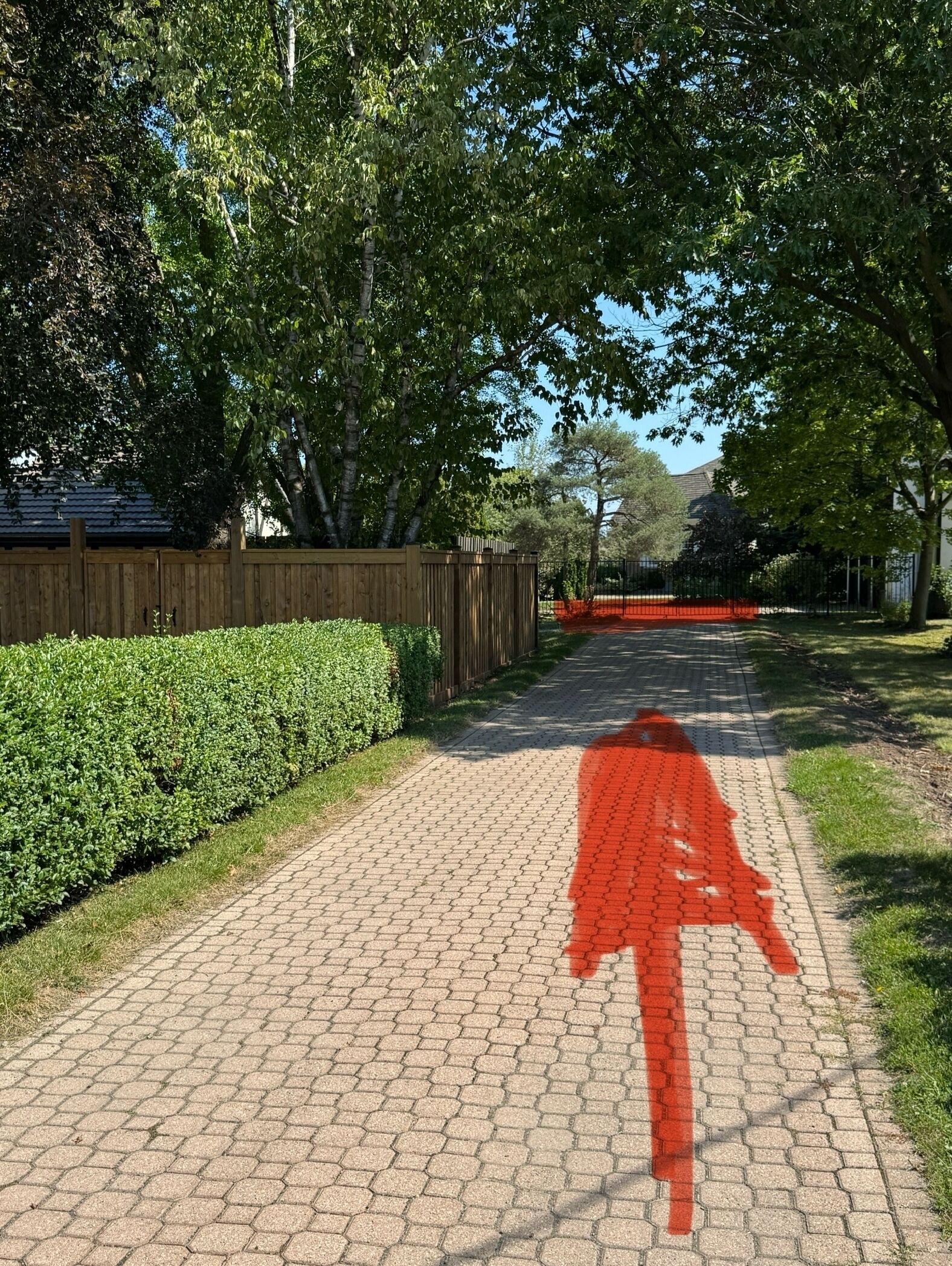 Un chemin pavé, agrémenté d’une flèche rouge indiquant la direction, bordé de haies et d’arbres verts, et menant à un quartier résidentiel.