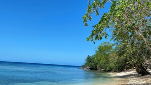Une plage avec une eau d’un bleu limpide et un rivage sablonneux. On y trouve deux chaises longues bleues et un arbre aux feuilles vertes.