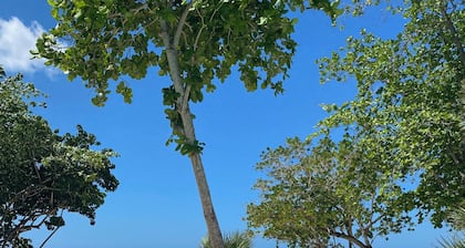 The Sapphire | Negril Sunset Oceanfront Villa