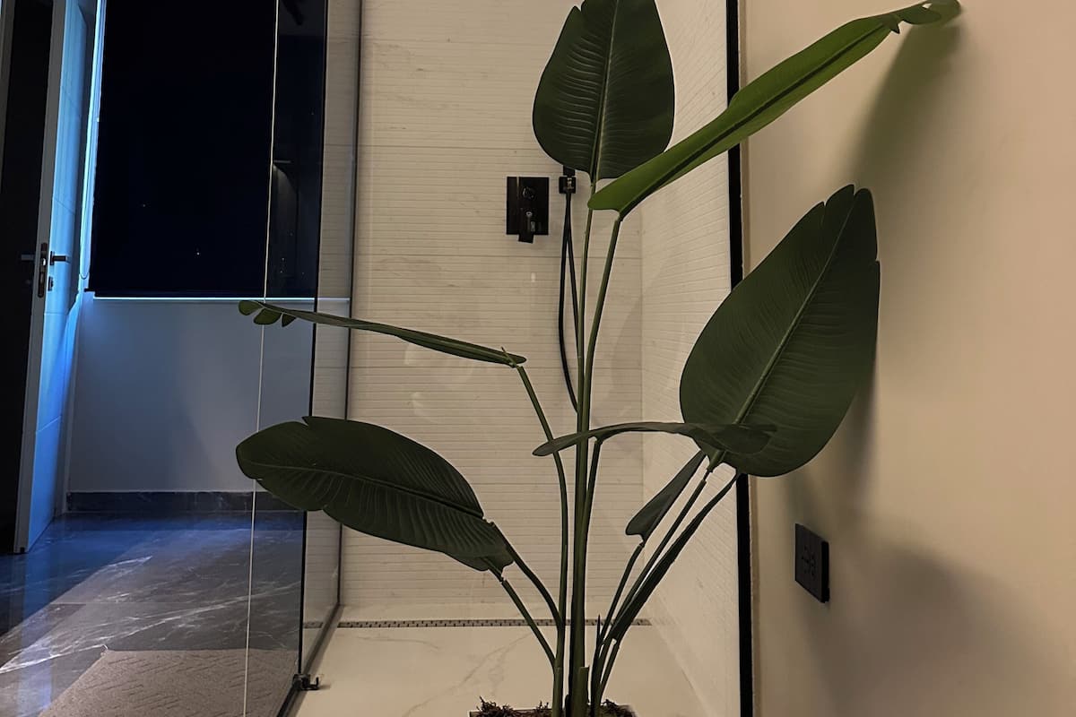 Honeymoon-Doppelzimmer, 1 Queen-Bett