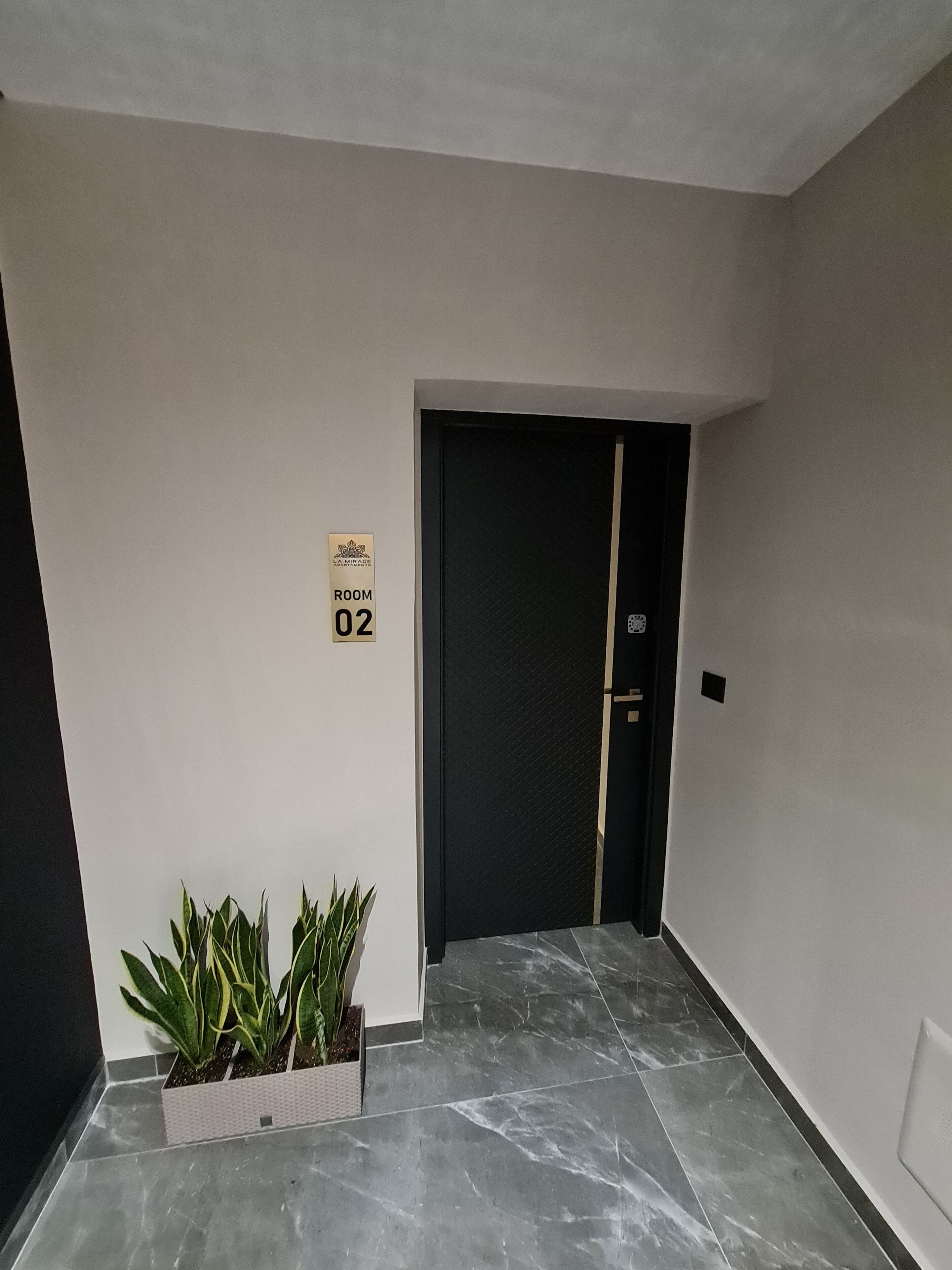 A hallway with a sign indicating Room 02, a black door, and a plant in a planter.