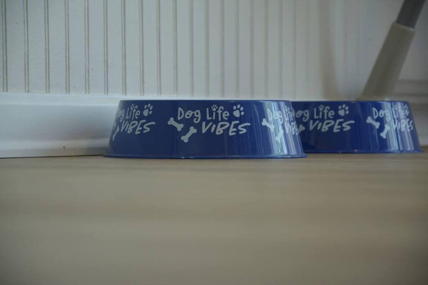 Due ciotole blu per cani con la scritta "Dog Life Vibes" su un piano di legno.