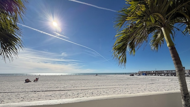 A beach with a clear sky, palm trees, and a pier in the background.