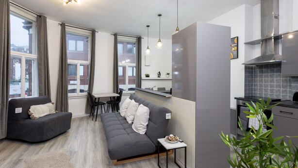 Un salon moderne avec un canapé gris, une petite table sur laquelle se trouve un bol, et un coin cuisine doté de meubles gris et d’une cuisinière.