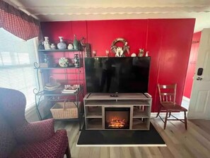 Smart TV, fireplace, books
