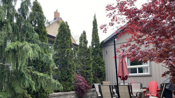 Un espace extérieur aménagé en terrasse, avec un sol en pierre, du mobilier de jardin et différentes espèces d’arbres.