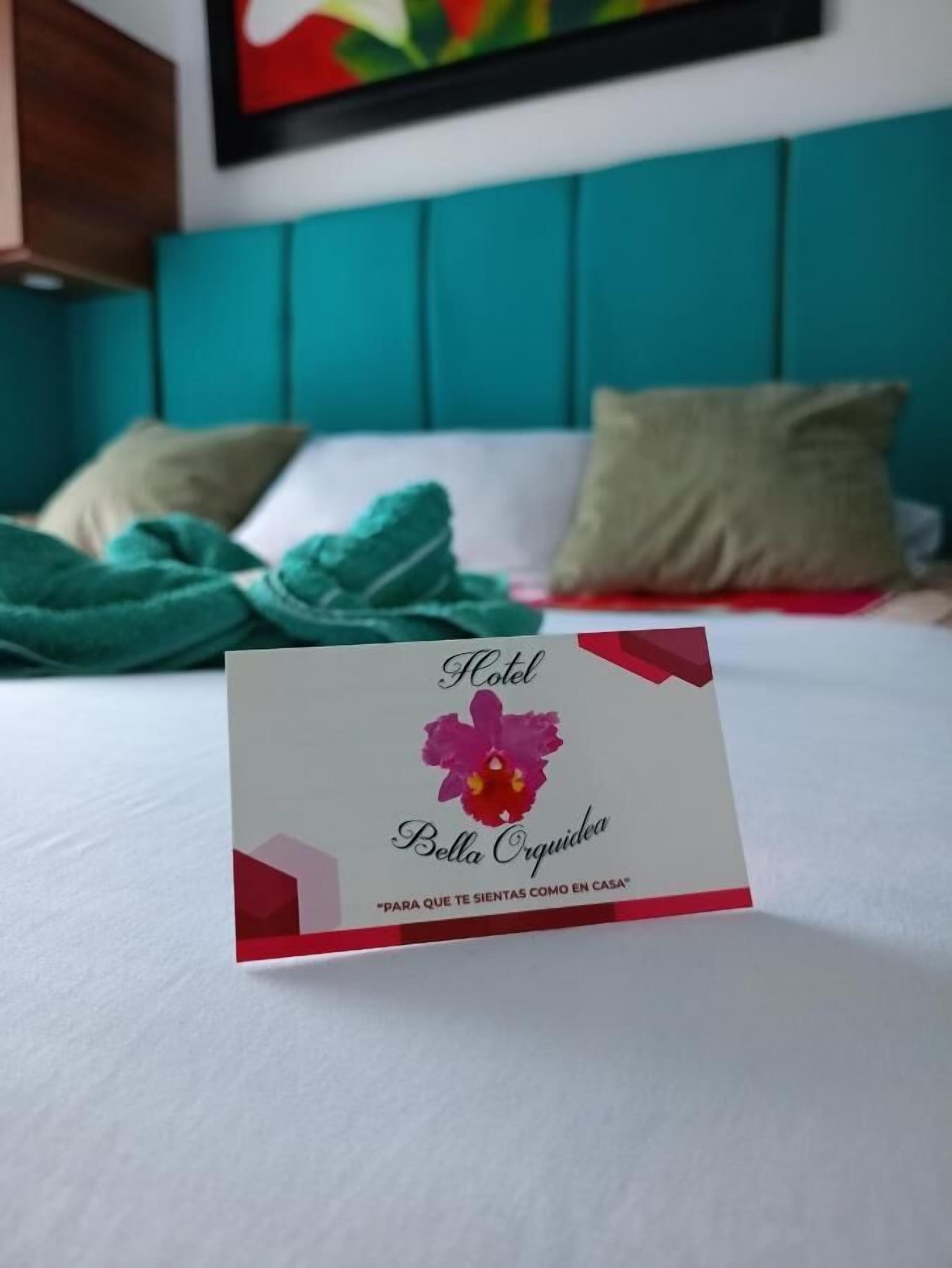 Foto - Hotel Bella Orquidea