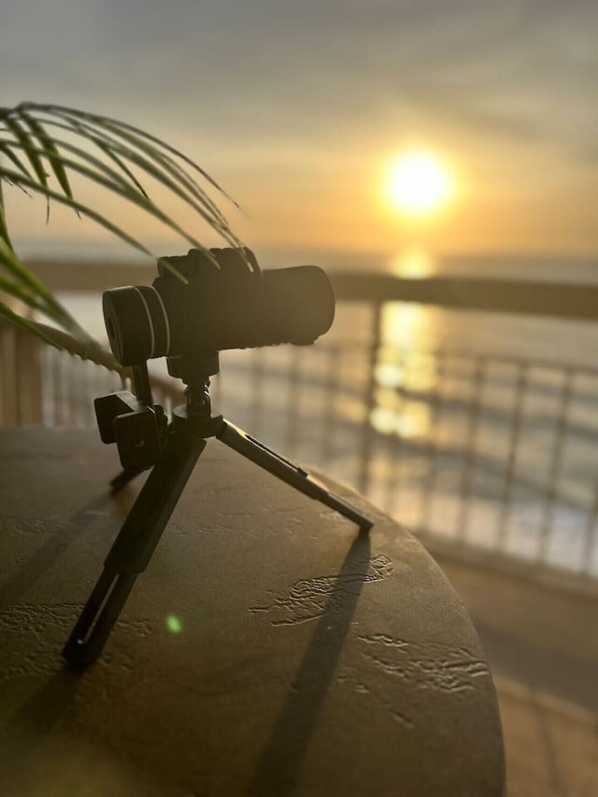 Imagen de perfil del propietario o de la propietaria