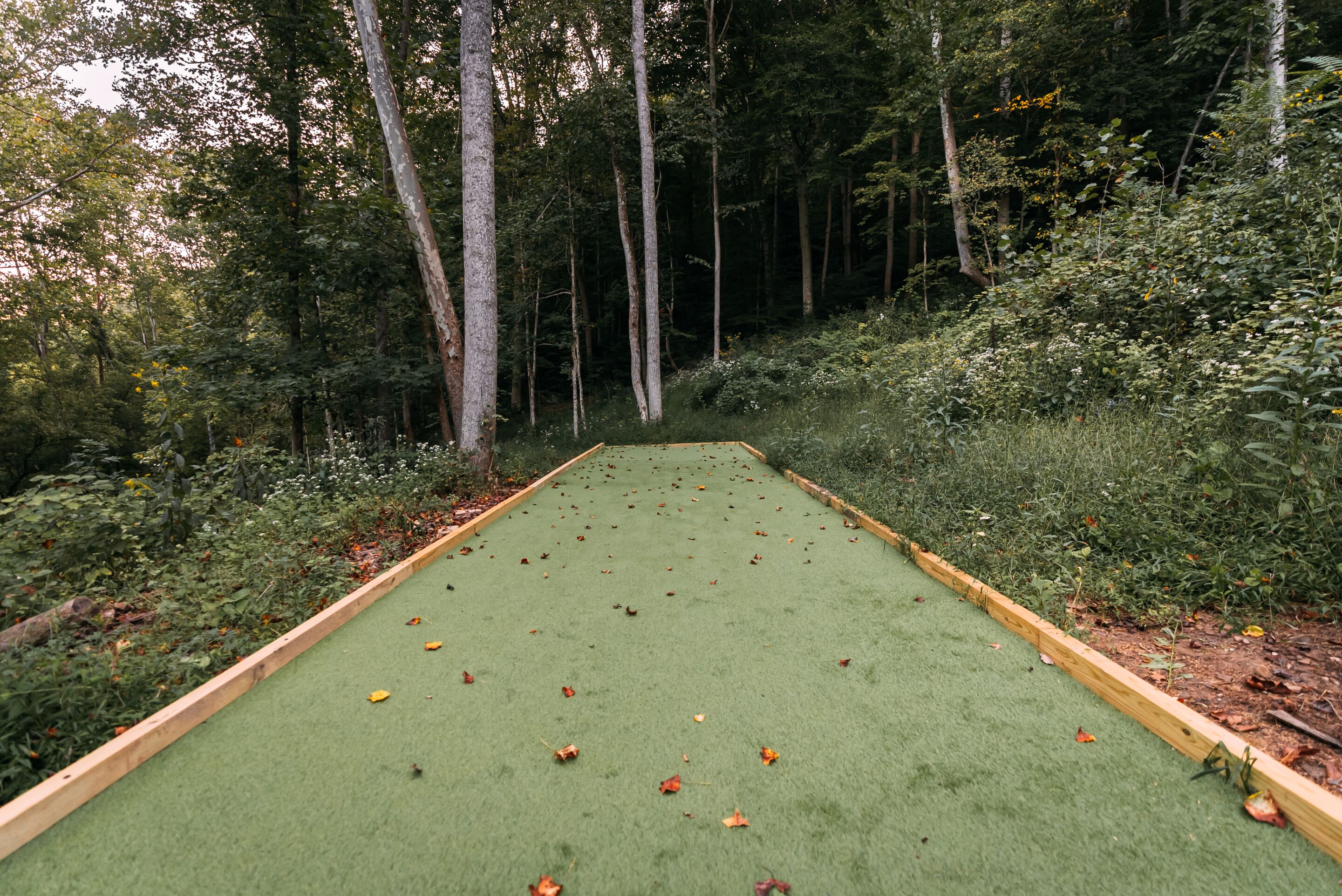 Un prato sintetico verde con un bordo in legno, circondato da una fitta foresta.