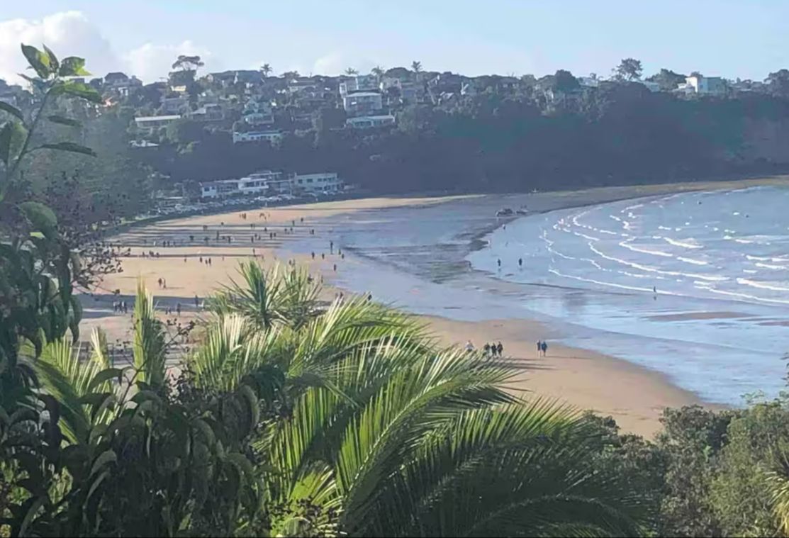 A beach with a sandy shore, waves, and a residential area in the background.