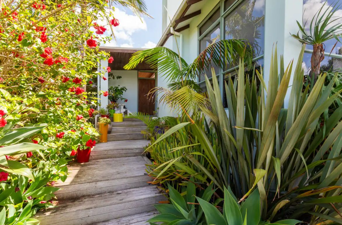 A wooden pathway leading to a building with a glass door, surrounded by various plants and flowers.