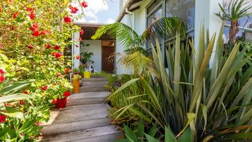 A wooden pathway leading to a building with a glass door, surrounded by various plants and flowers.