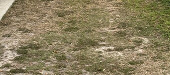 Cozy little apartment in Sprin Hill!