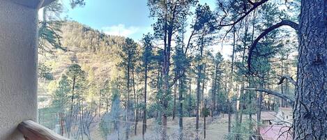 House (3 Bedrooms) | Property amenity