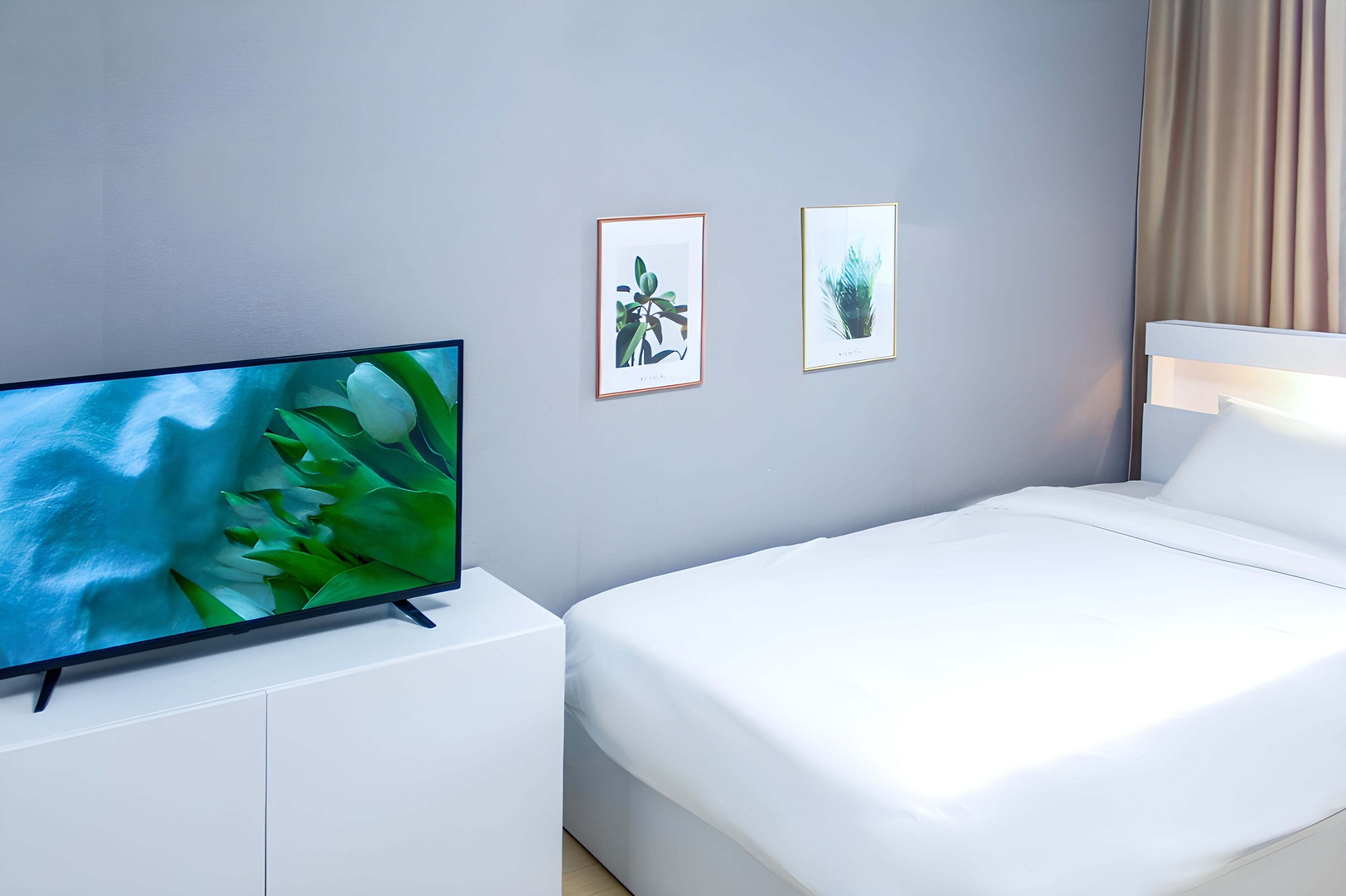 A modern hotel room with a bed, a TV on a white cabinet, and two framed botanical prints on the wall.