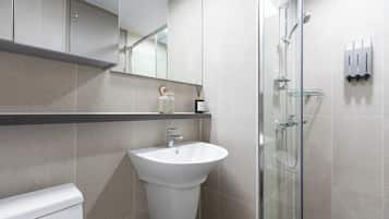 Shower, hair dryer, slippers, bidet