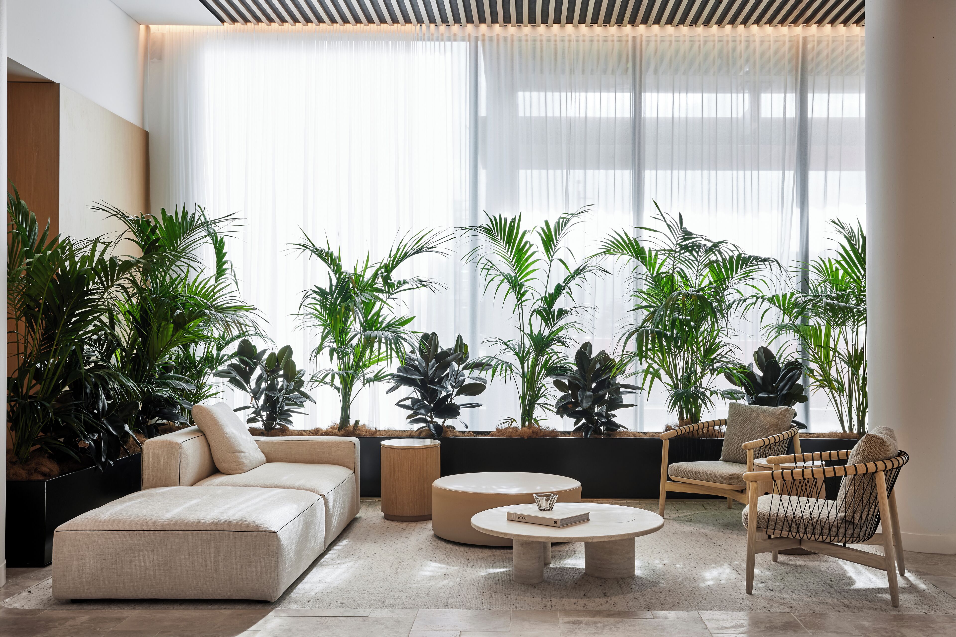 A modern living room with a beige sofa, round coffee table, and wicker chairs. There are multiple potted plants and a large window with sheer curtains.