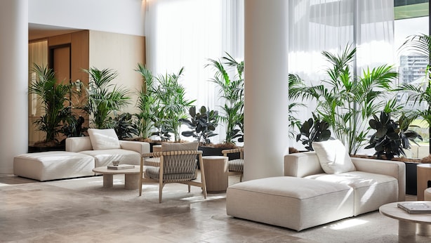 A spacious, well-lit living area with a modern design, featuring a large sofa, a coffee table, and several potted plants.
