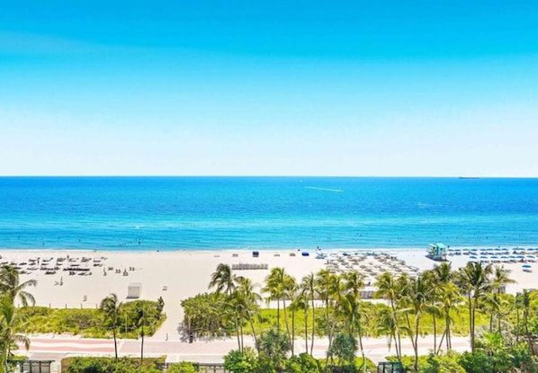 Une plage avec une eau d’un bleu limpide, des palmiers et une rangée de parasols de plage.