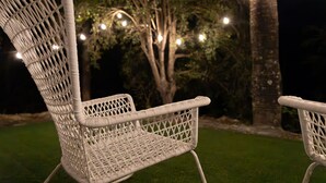 Une chaise en osier, dotée d’un dossier et d’accoudoirs, placée sur une surface verte.