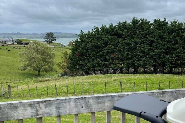 Property grounds - The Pahi Bach (Pahi)