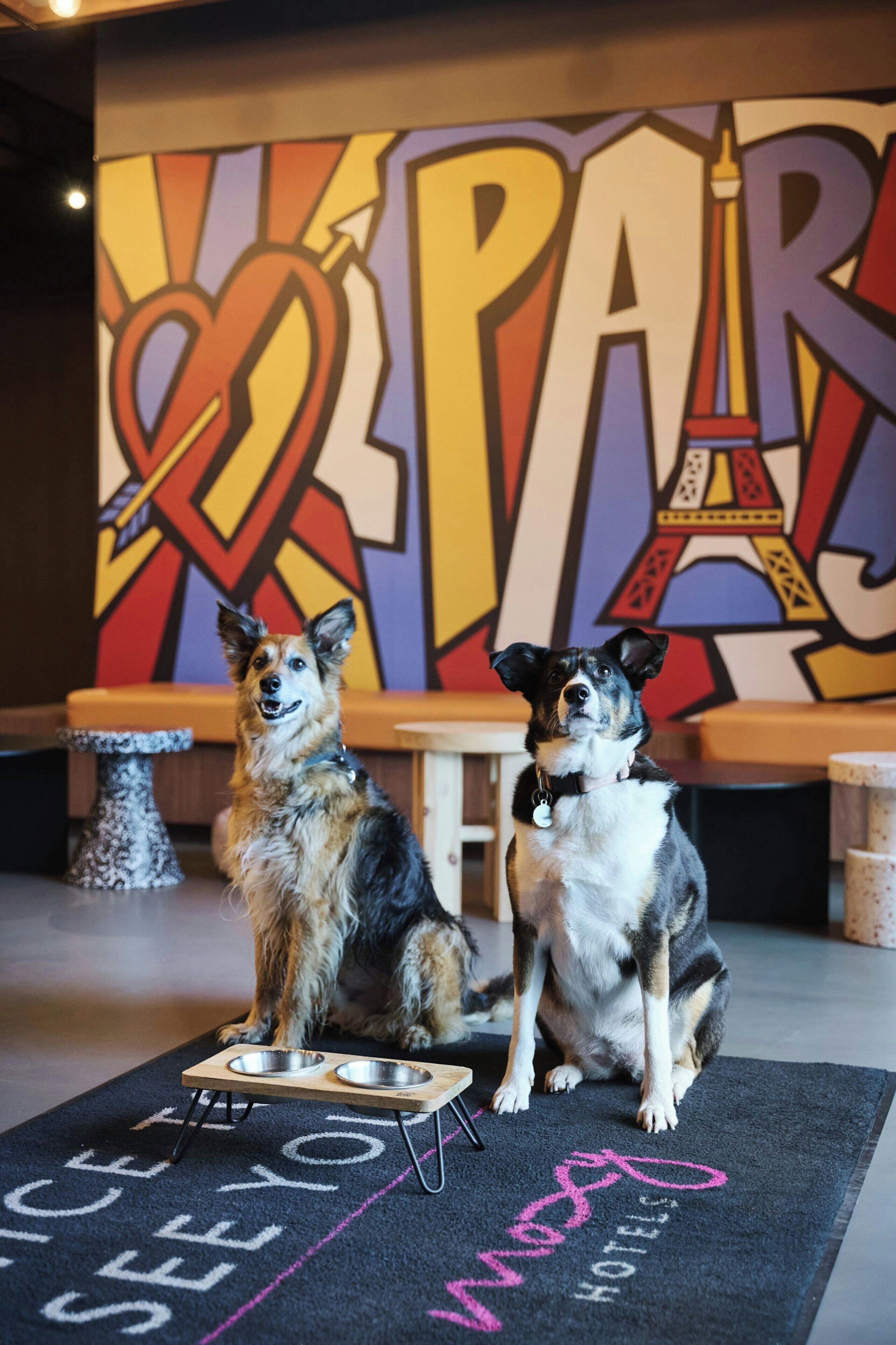 Foto - Moxy Paris Clamart
