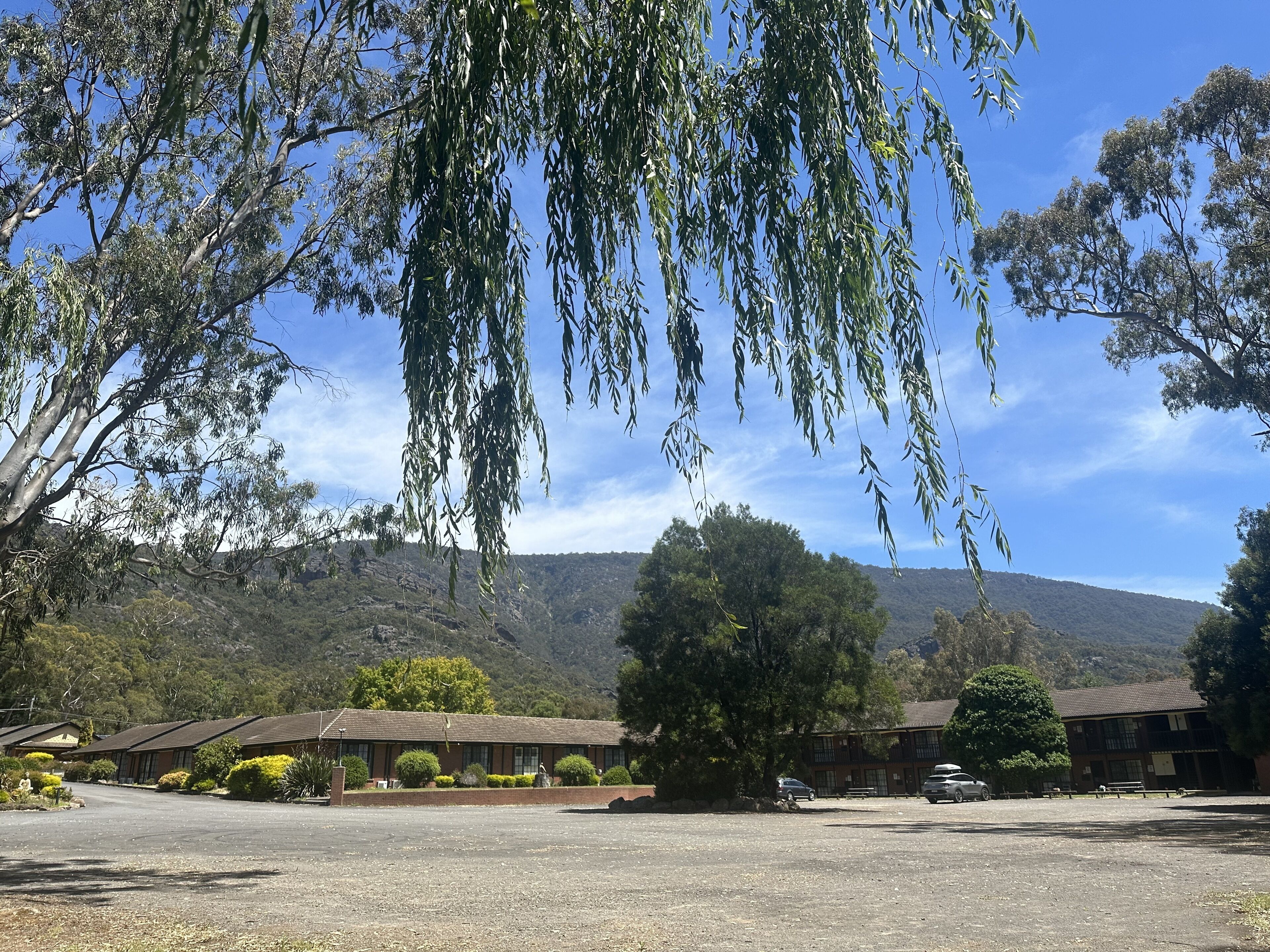 A building with a parking lot, surrounded by trees and a mountain in the background.
