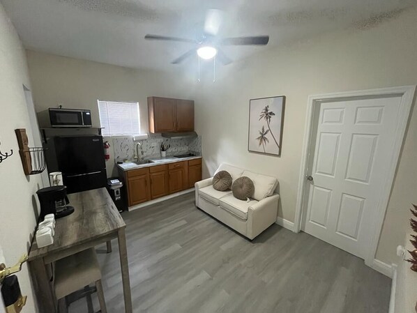 Living area - Sophisticated style in Tampa/ BuschGardens (Tampa)