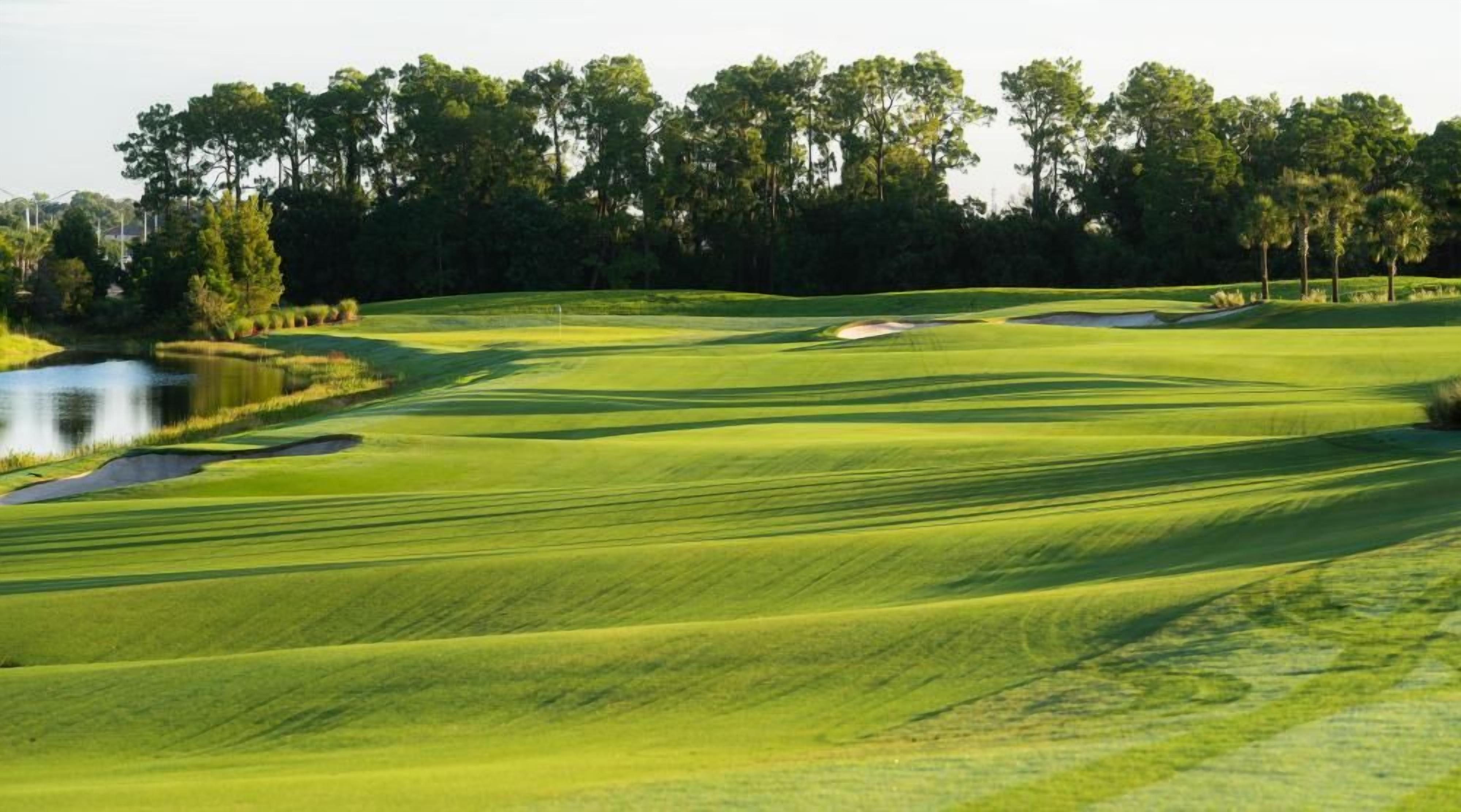 A golf course with sand bunkers, a pond, and trees in the background.