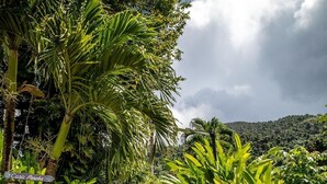 A woman in a blue dress and hat walking down a path towards a wooden gate, surrounded by lush greenery and a cloudy sky. - Casa Parcha (Naguabo)