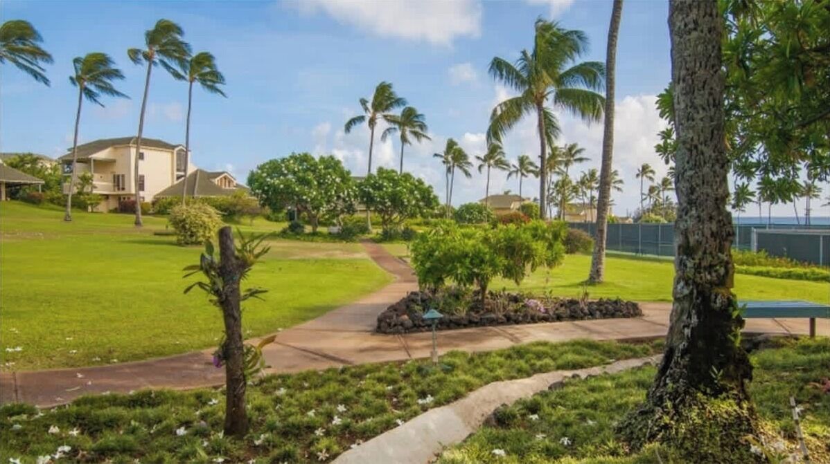 A residential area with a grassy lawn, palm trees, and a pathway leading to a house.