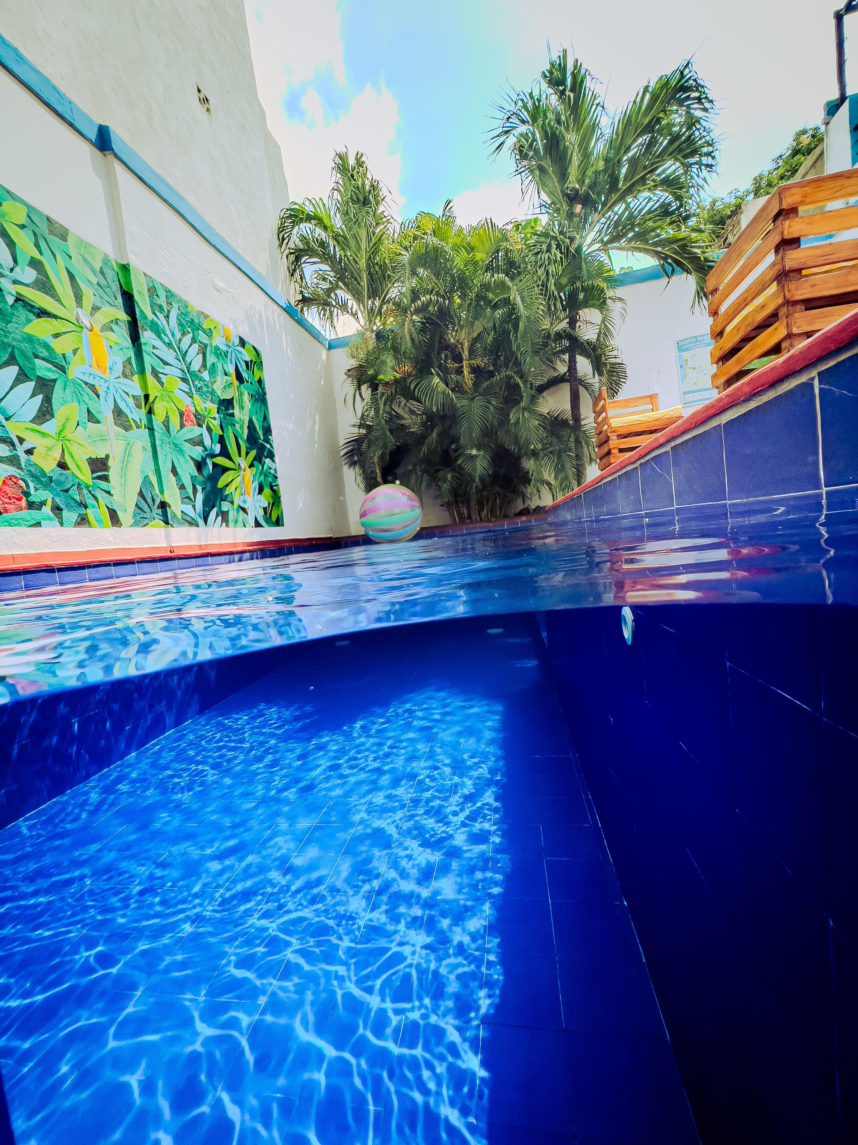 Photo - The Blue House Hostel Santa Marta