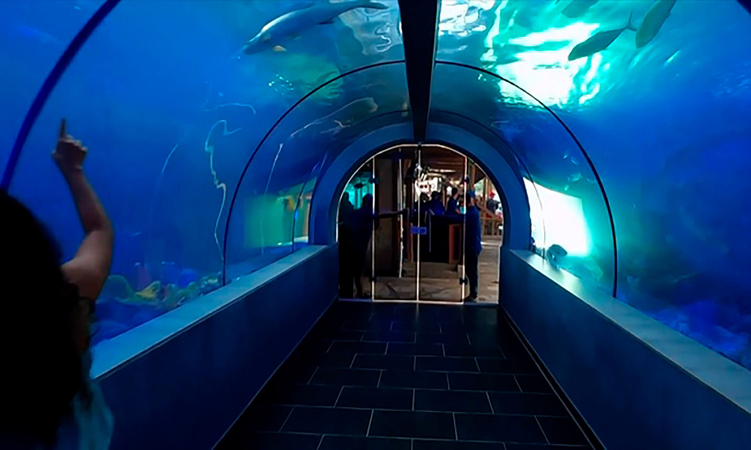 Photo - The Blue House Hostel Santa Marta