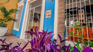 Un bâtiment bleu avec une enseigne indiquant « Calle 11 1-60 » et un palmier au premier plan.