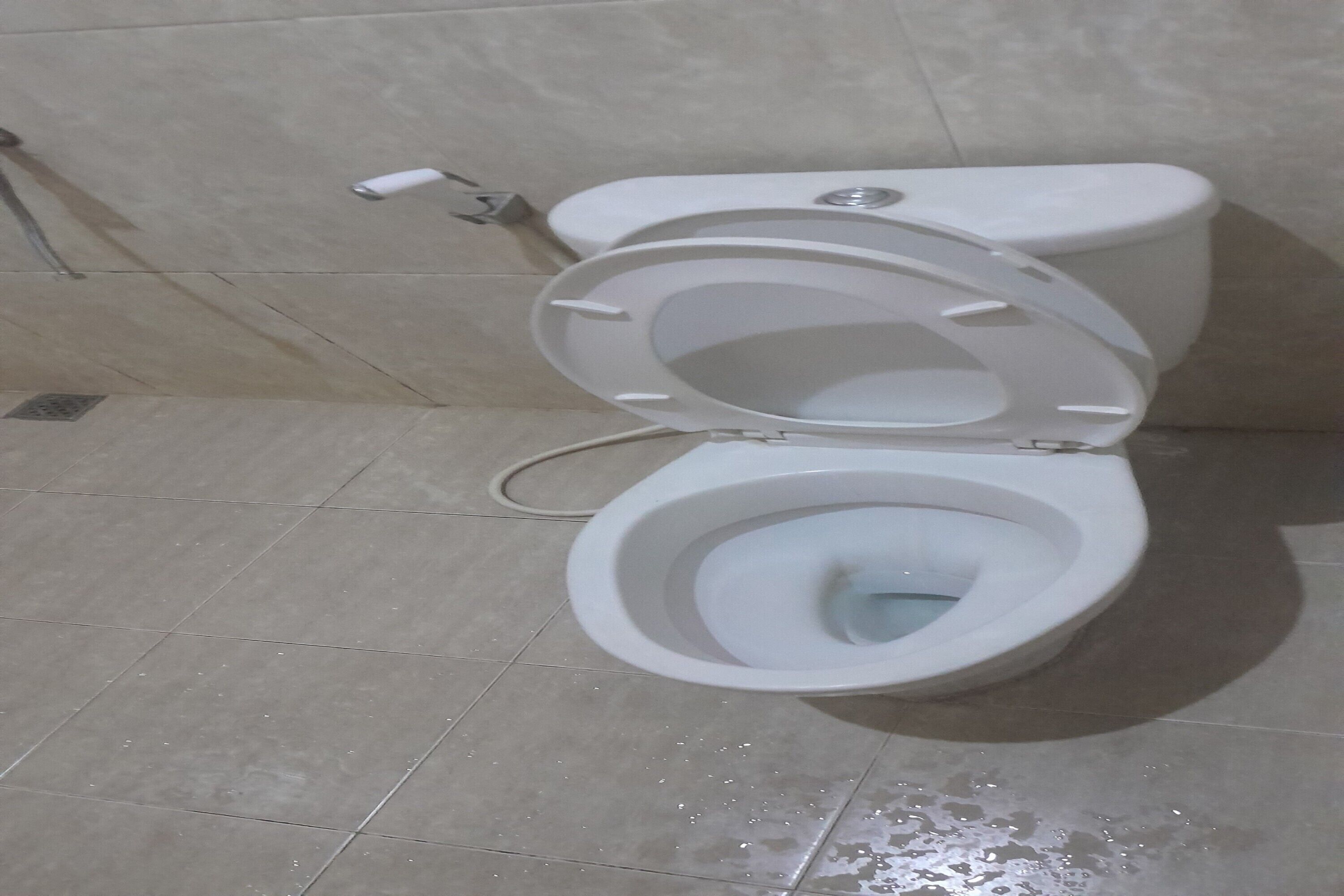 A toilet with a closed lid, a visible flush handle, and a visible flush button.