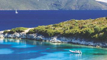 ๋น๋ผ | 2 ๊ฐ์ ์นจ์ค