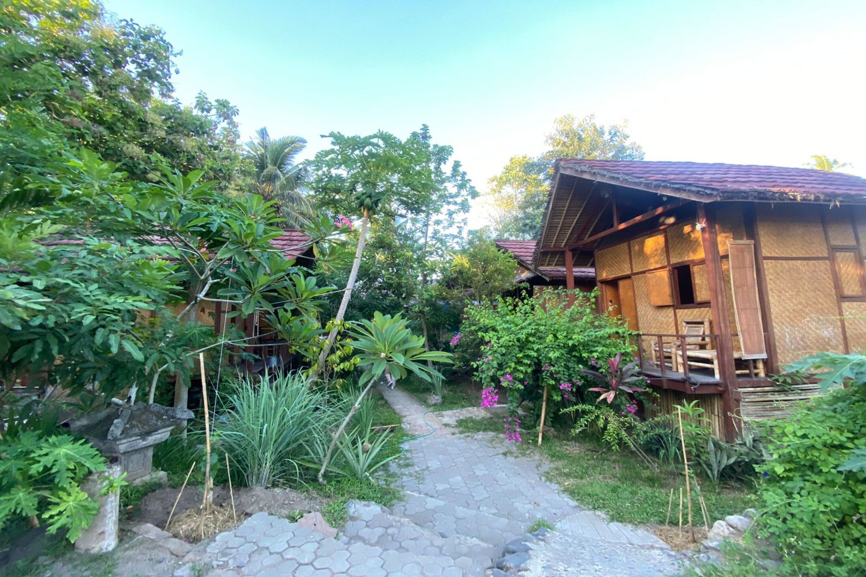 A rustic wooden house with a thatched roof, surrounded by lush greenery and a stone pathway leading to it.