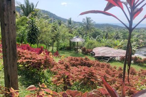 Puutarha