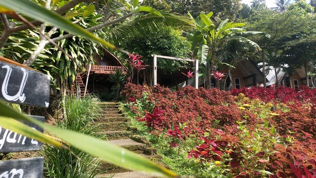 A garden pathway leading to a building with a thatched roof entrance. - SPOT ON 93511 Rinjana Homestay (Sembalun Lawang)