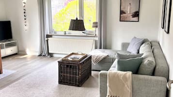 Smart-TV, Kamin