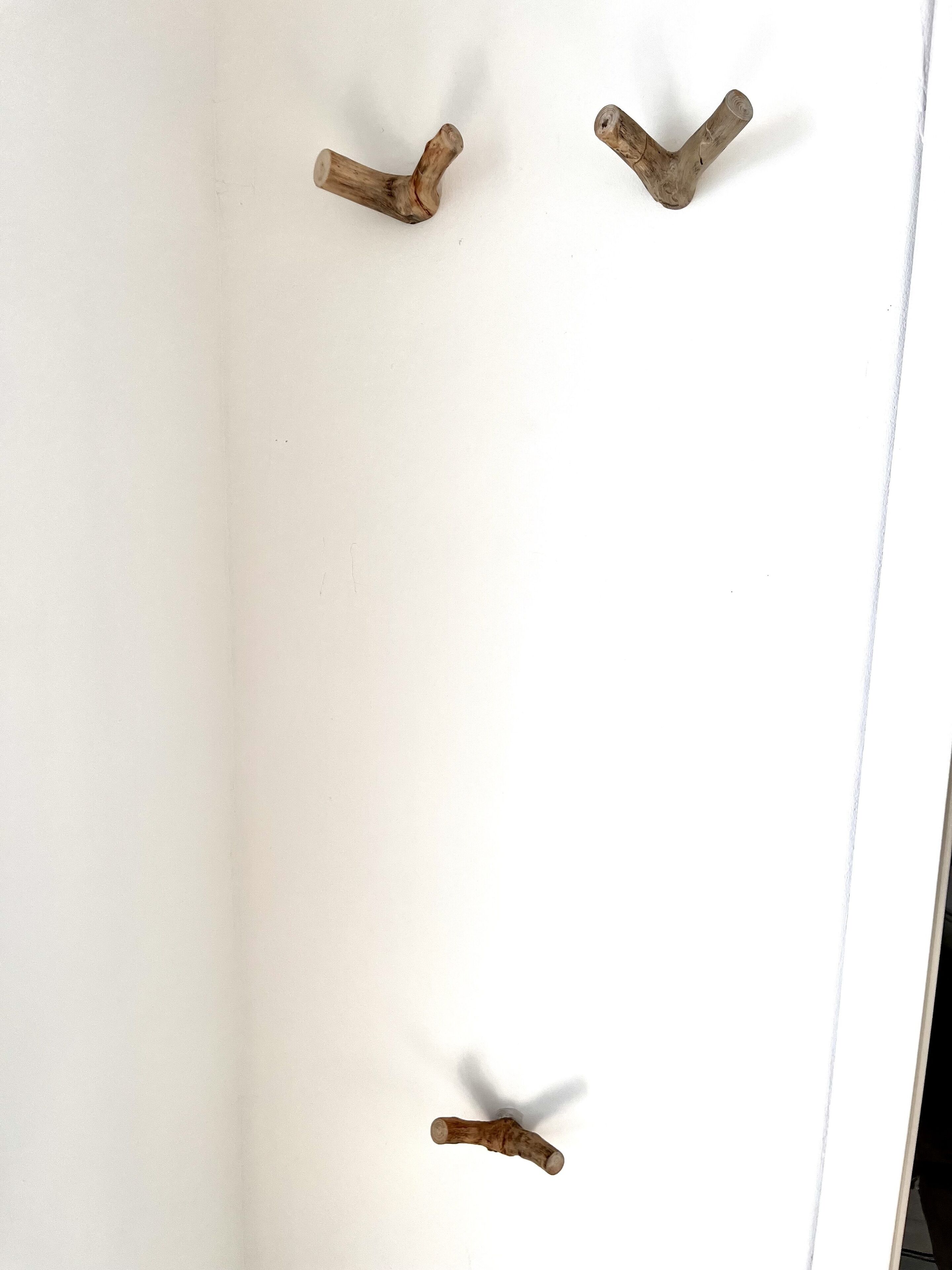 A white wall with three wooden hooks.