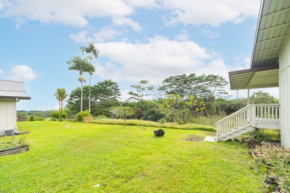 A grassy yard with a white building, a palm tree, and a staircase leading to a porch.